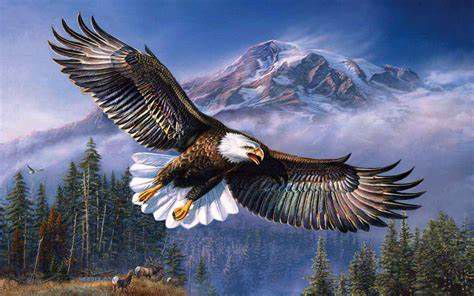 eagle soars