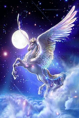 pegasus